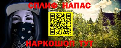 сатива Ирбит