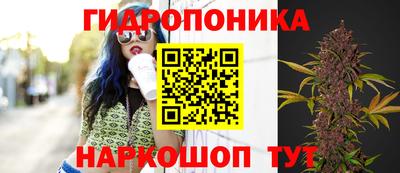 эйфоретик Ипатово